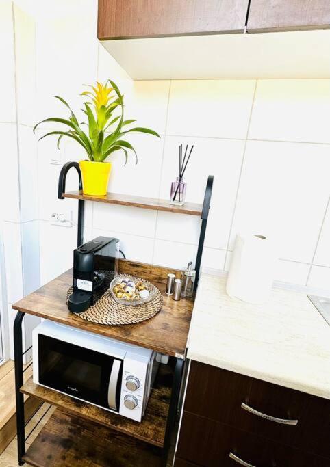 Cozy 1Br Apartment•Central•Quiet Bucarest Esterno foto